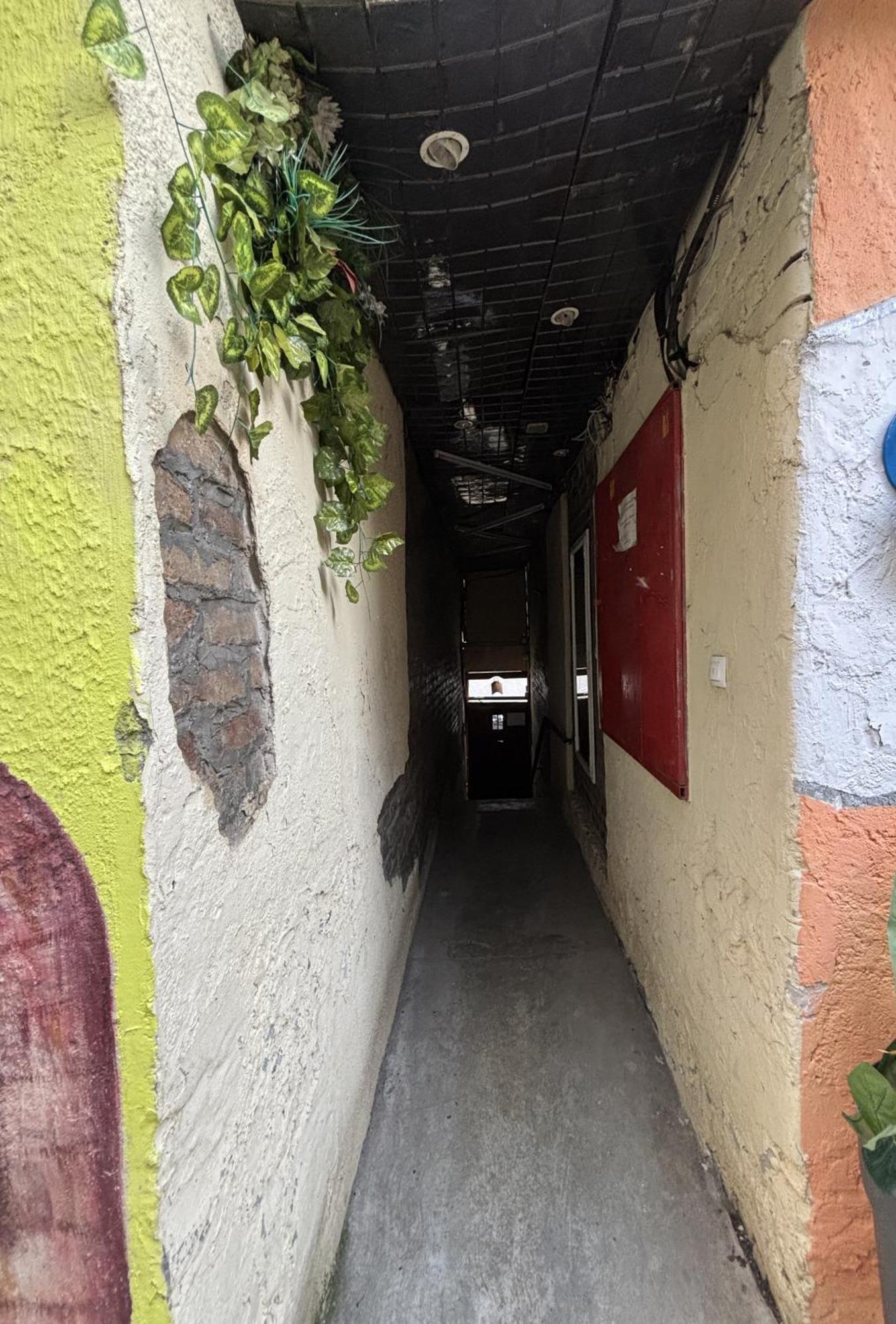 Vracar Affordable Suites - Vracar Povoljni Stanovi Belgrad Dış mekan fotoğraf